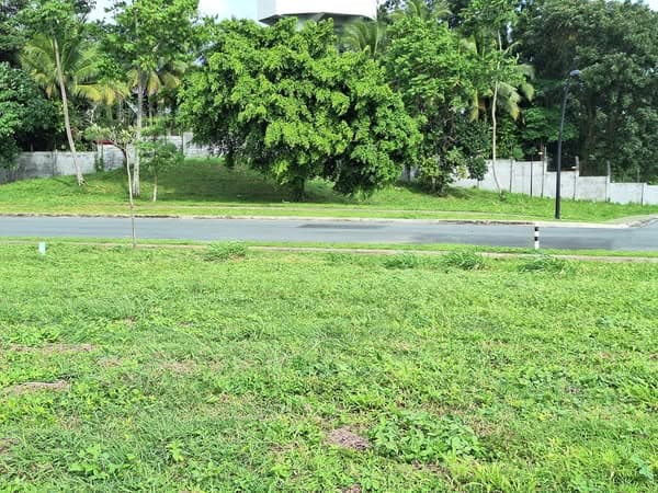 PRIME LOTS FOR SALE CERILO, NUVALI — photo 2 of 3