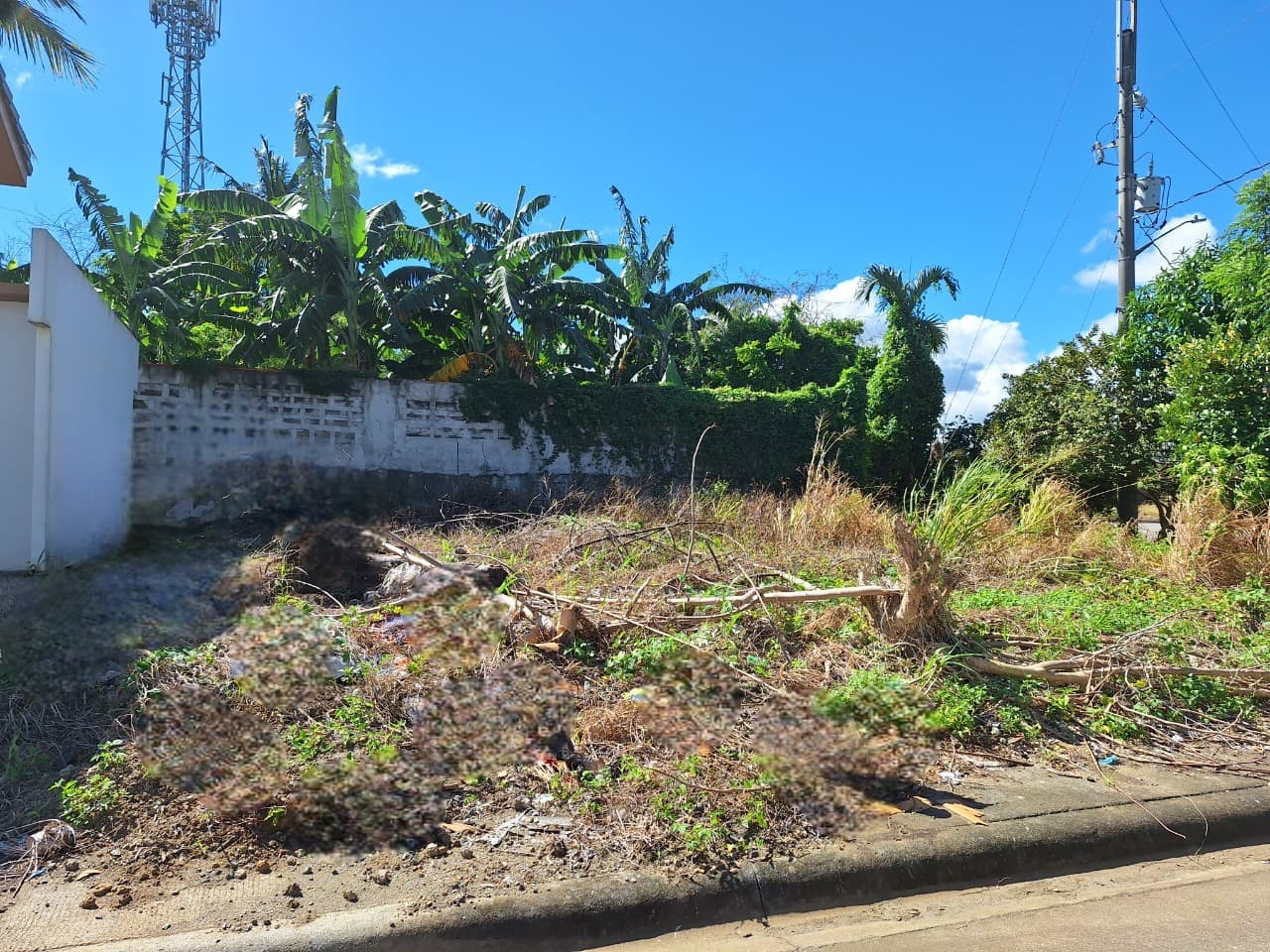 LOTS FOR SALE – CIUDAD DE CALAMBA, LAGUNA — photo 2 of 3
