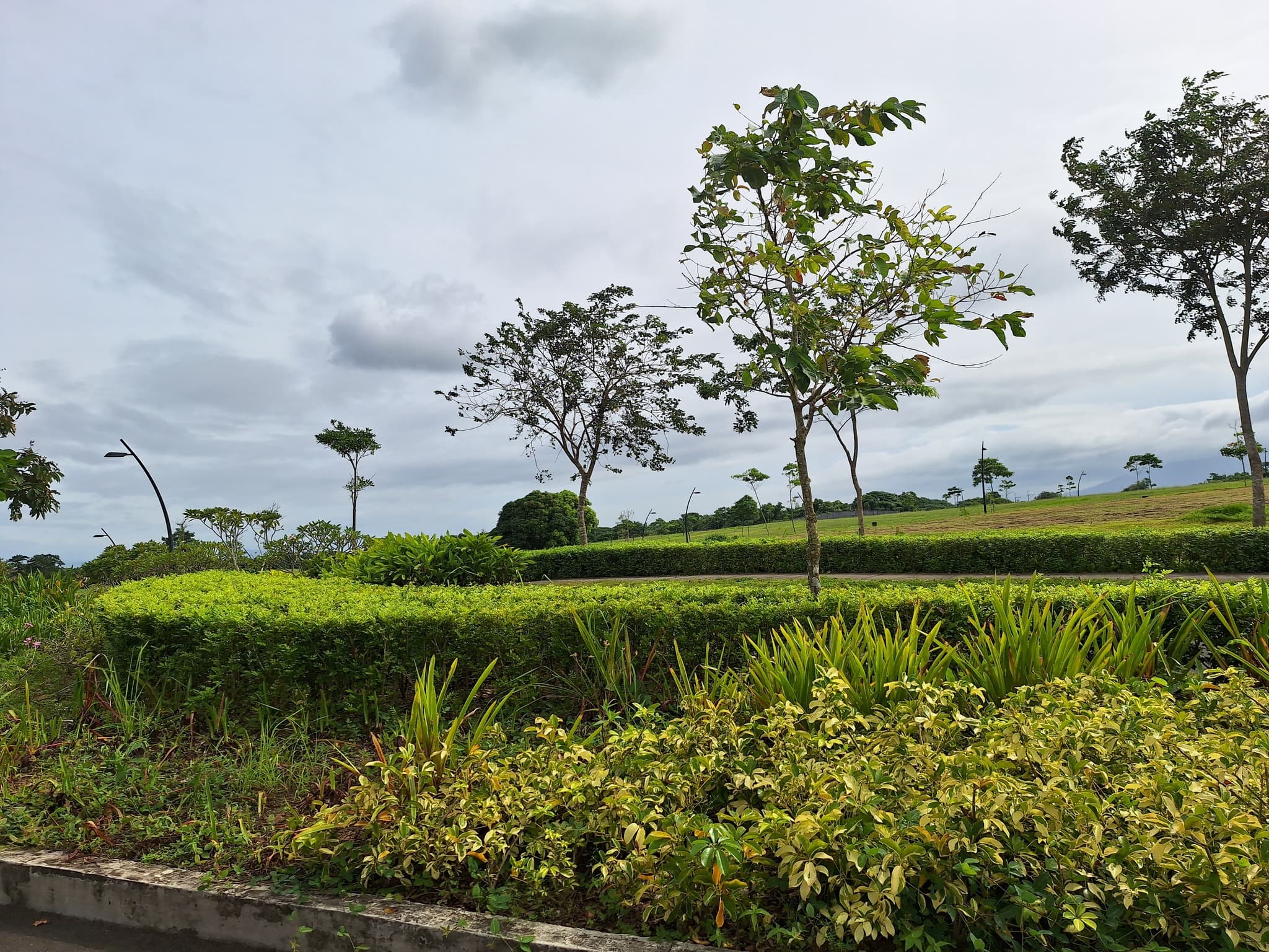 PRIME LOTS FOR SALE CERILO, NUVALI — photo 1 of 3